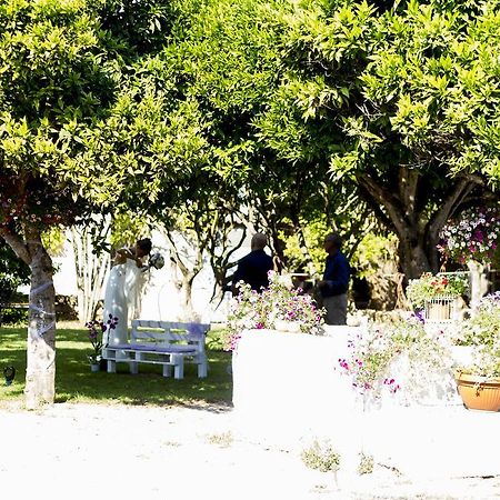 La Purissima Bed and Breakfast Alghero Buitenkant foto