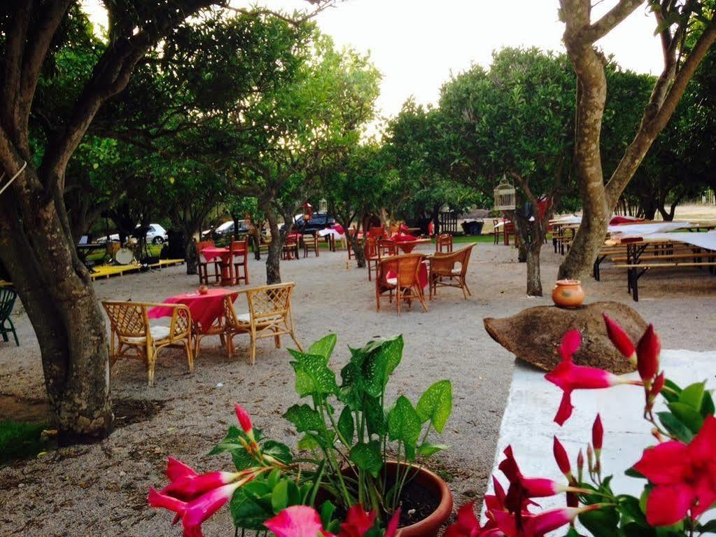 La Purissima Bed and Breakfast Alghero Buitenkant foto